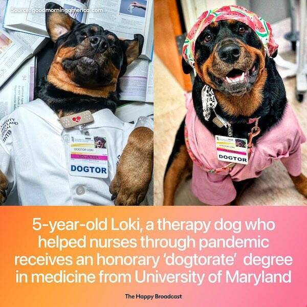 Uplifting News For All: Guaranteed To Brighten Your Day