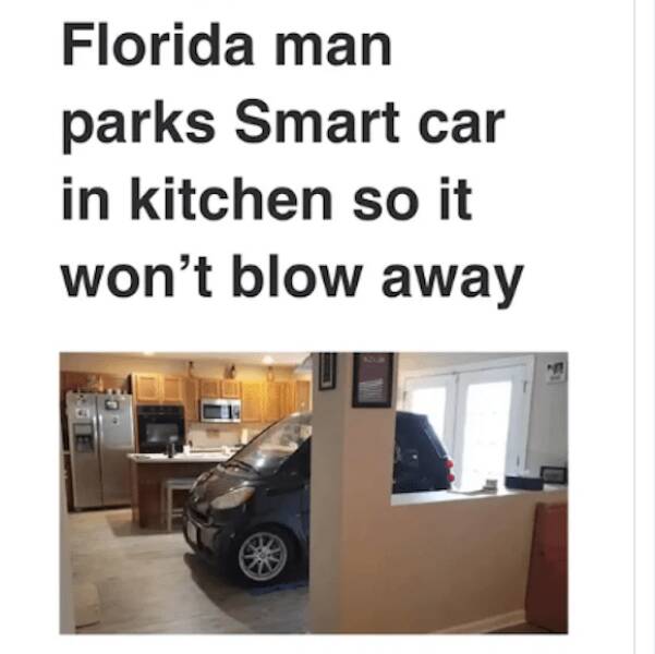 Florida Man Chronicles: More Insanity, As Expected