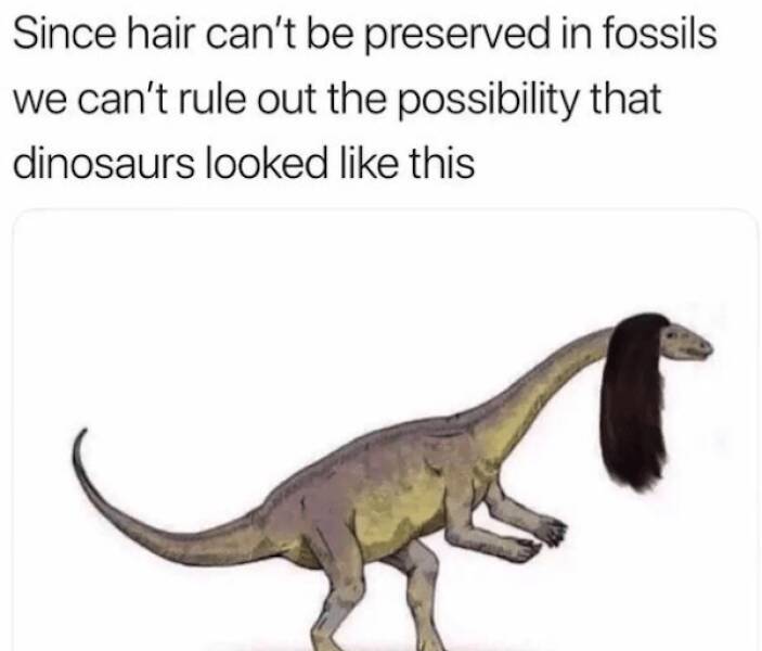 Jurassic Jokes: Unleashing Dinosaur Memes