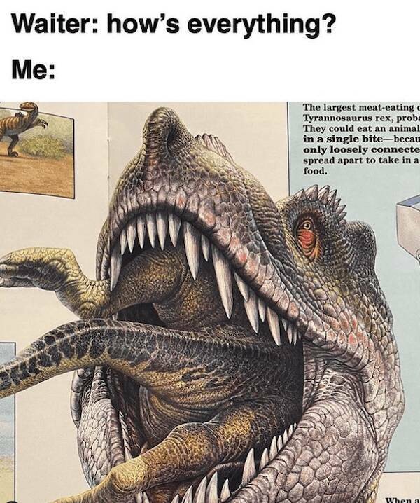 Jurassic Jokes: Unleashing Dinosaur Memes