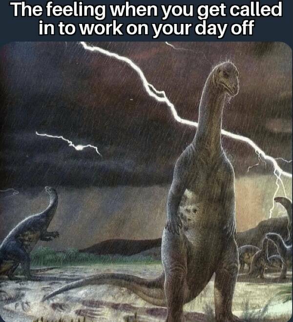 Jurassic Jokes: Unleashing Dinosaur Memes