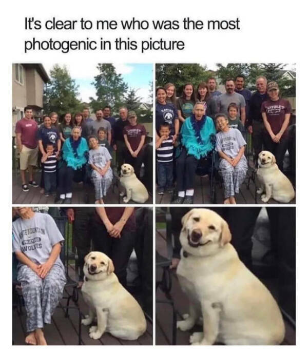 Laugh And Smile: A Collection Of Wholesome Funnies