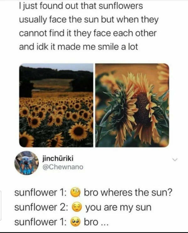 Laugh And Smile: A Collection Of Wholesome Funnies