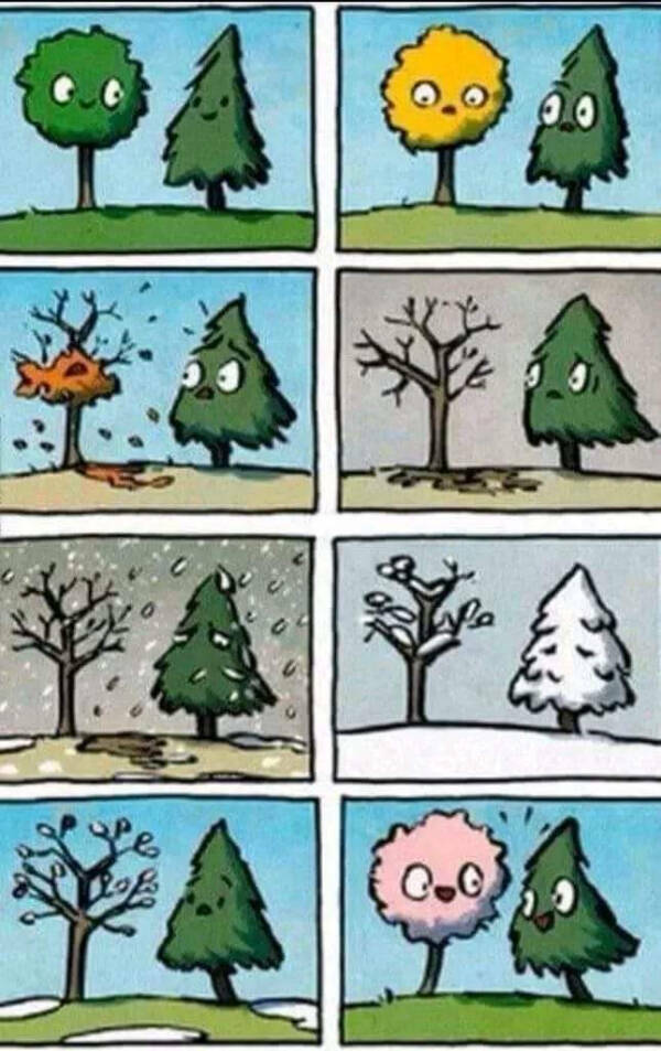 Laugh And Smile: A Collection Of Wholesome Funnies