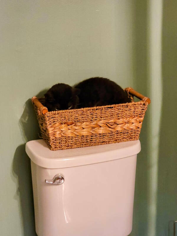 Perfect Fit: When It Matches Like A Glove Perfect Fit: When It Matches Like A Glove