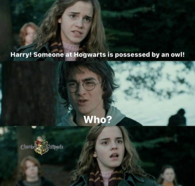 Mischief Managed: Harry Potter Memes