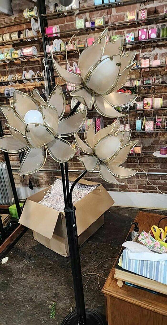 Secondhand Treasures: Iconic Thrifted Finds That Surpass Expectations