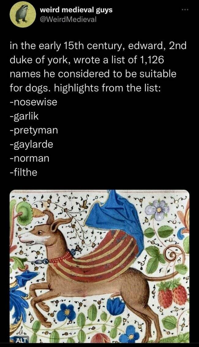 Time-Traveling Memes: Medieval Humor In The Modern Era Time-Traveling Memes: Medieval Humor In The Modern Era