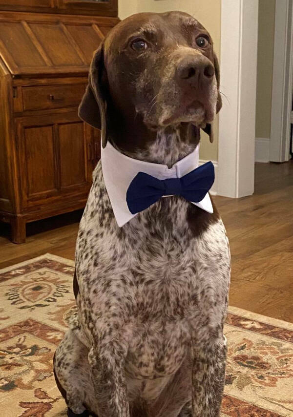 Simple Pleasures: Finding Joy In The Little Things