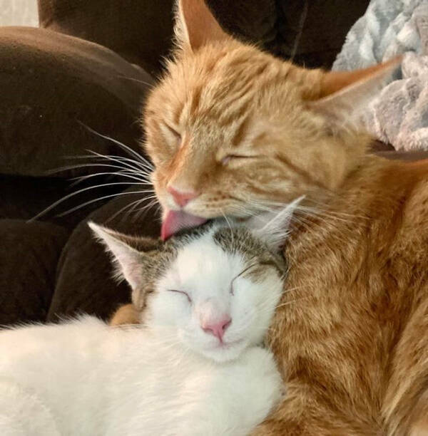 Simple Pleasures: Finding Joy In The Little Things