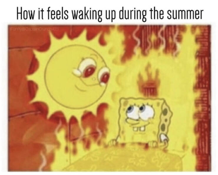 Summer Memes: Making The Most Of Peak Summertime