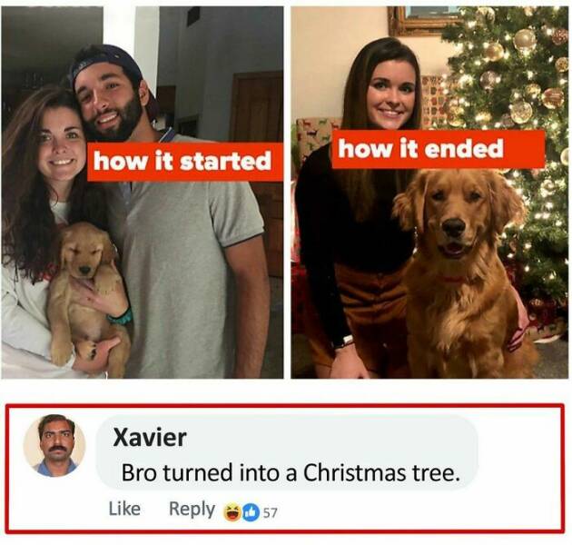 Xaviers Social Media Gems: A Comedy Goldmine