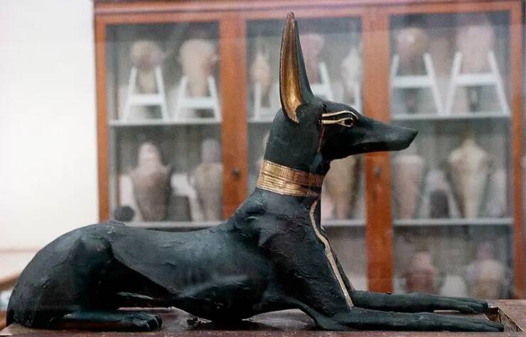 A Compilation Of The Most Fascinating Images