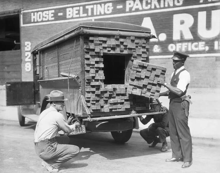 A Compilation Of The Most Fascinating Images