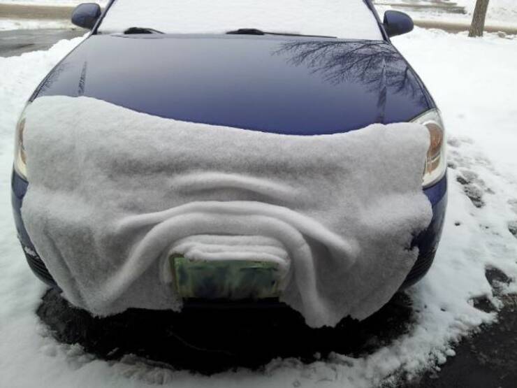 A Compilation Of The Most Fascinating Images