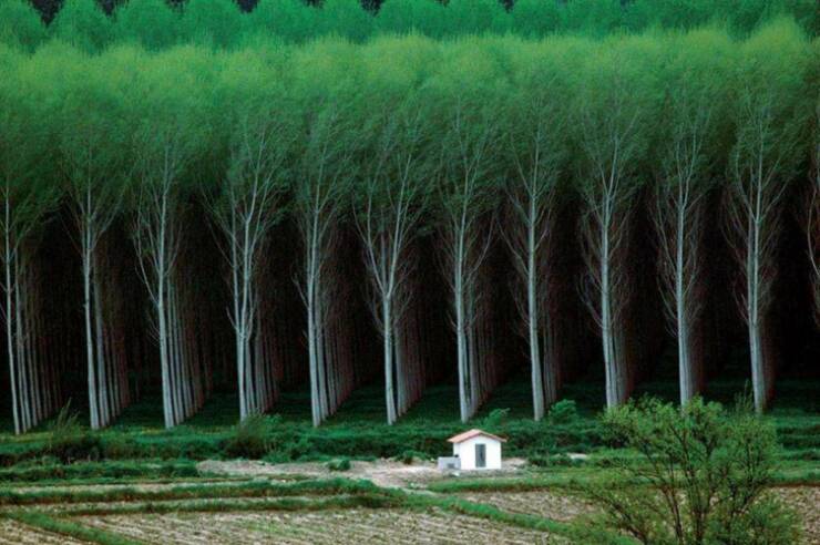 A Compilation Of The Most Fascinating Images