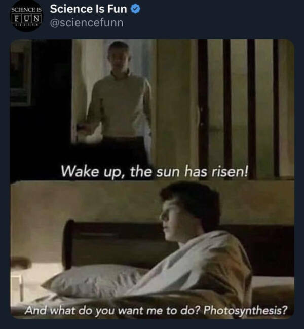 Don’t Laugh If You Don’t Wanna Lose!