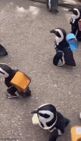 Daily Gifdump