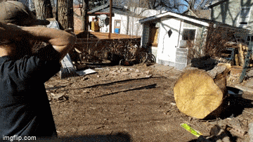 Daily Gifdump