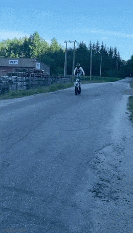 Daily Gifdump