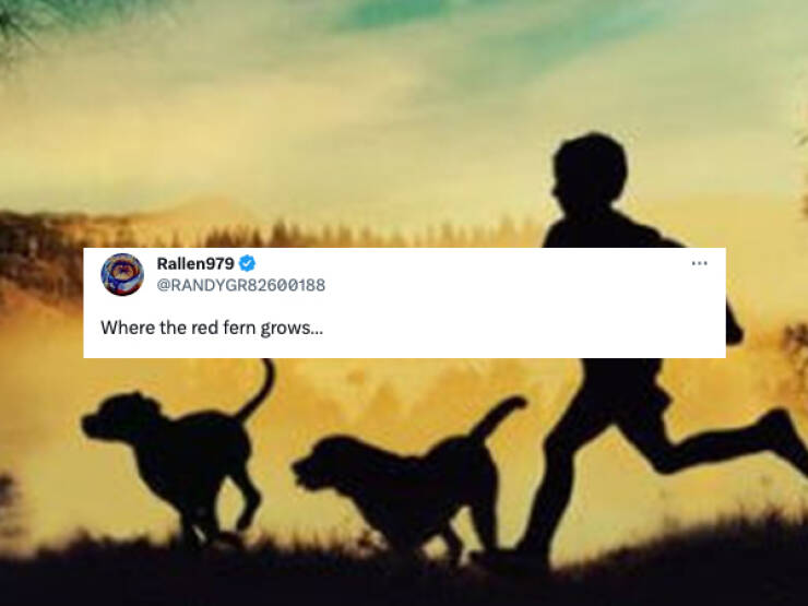 Literary Masterpieces: Readers Reveal Their All-Time Favorite Books Literary Masterpieces: Readers Reveal Their All-Time Favorite Books