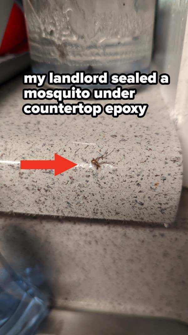 When Landlords Miss The Mark: Hilariously Terrible Apartment Fixes When Landlords Miss The Mark: Hilariously Terrible Apartment Fixes