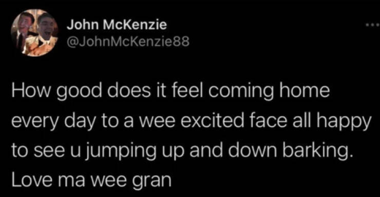 Scots Twitter Gems: A Treasury Of Witty And Clever Tweets
