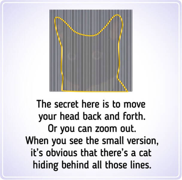 Brain-Bending Visual Puzzles: Optical Illusions To Twist Your Mind