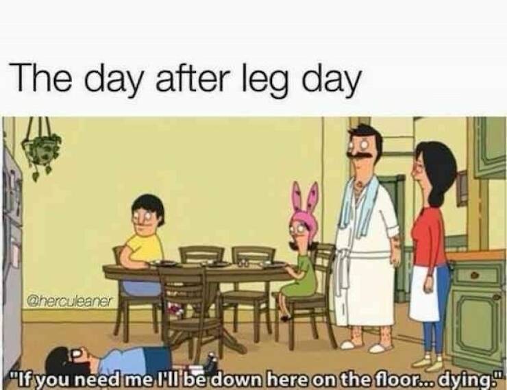 gym memes leg day