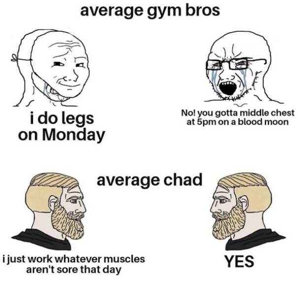 Elevate Your Humor Workout With These Gym Memes Elevate Your Humor Workout With These Gym Memes