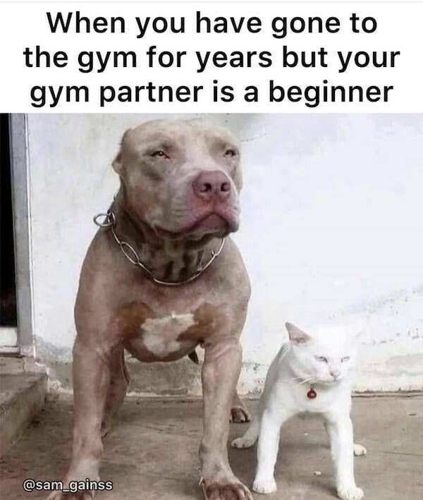 Elevate Your Humor Workout With These Gym Memes Elevate Your Humor Workout With These Gym Memes