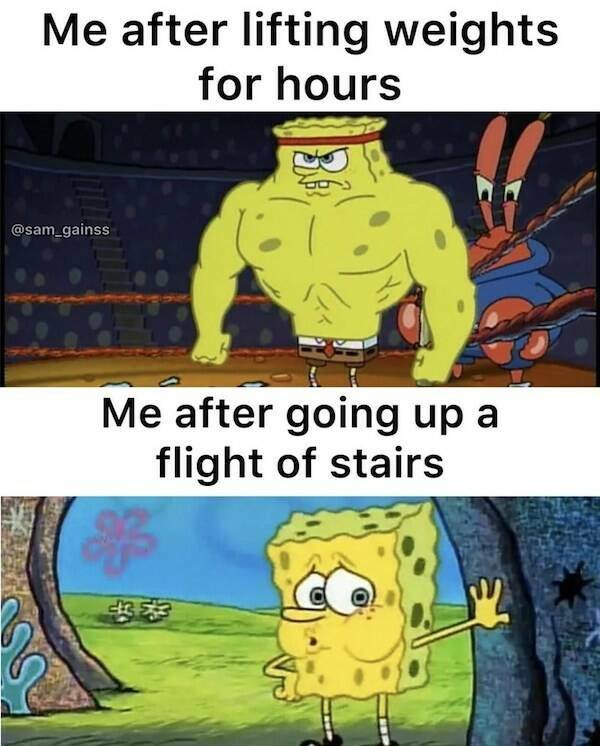 Elevate Your Humor Workout With These Gym Memes Elevate Your Humor Workout With These Gym Memes