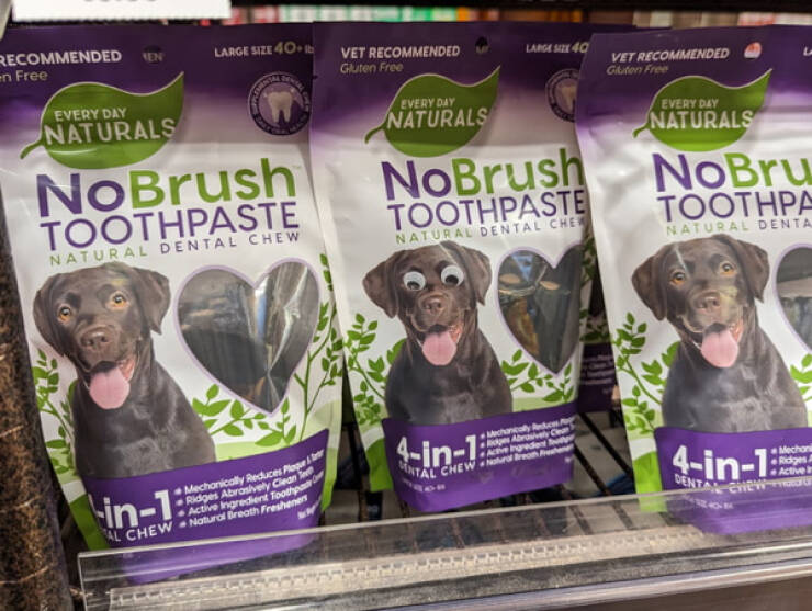 Secrets Of Everyday Life: Easter Eggs That Deserve To Be Revealed