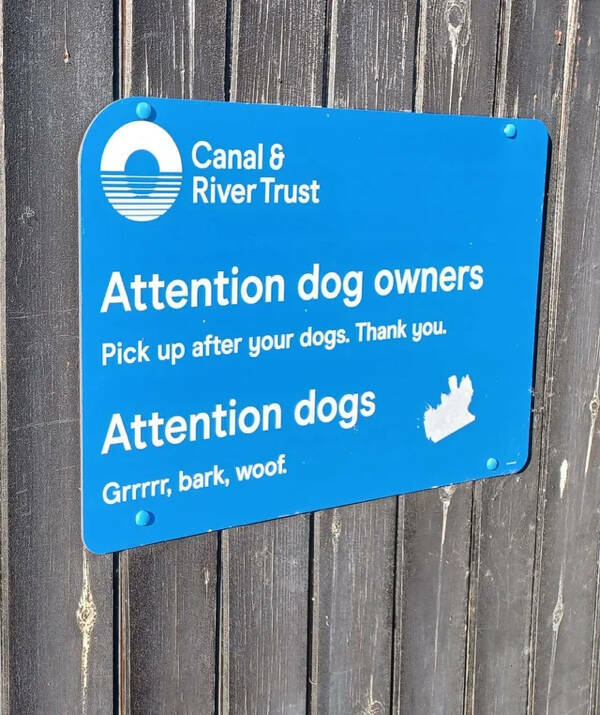 Secrets Of Everyday Life: Easter Eggs That Deserve To Be Revealed