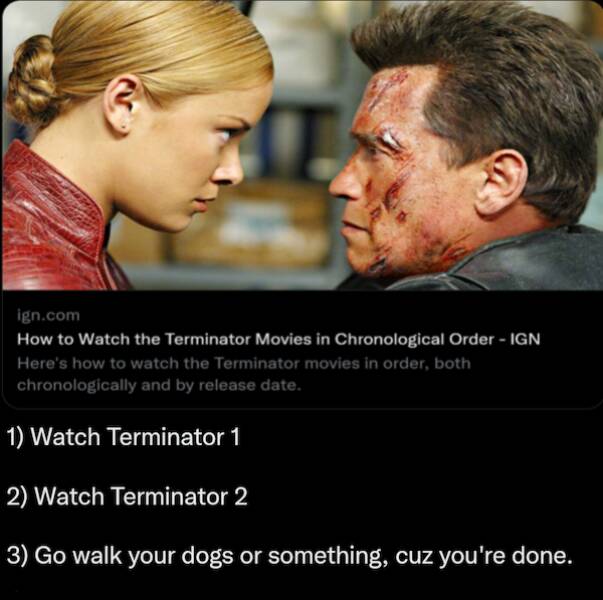 Terminator Humor Memes That'll Make You Say 'I'll Be Laughing' (51