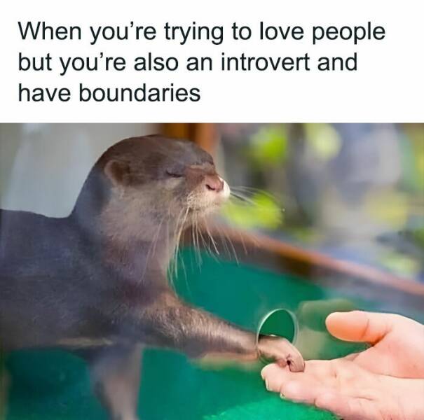 Introverts Dating Adventures: The Most Hilarious Memes