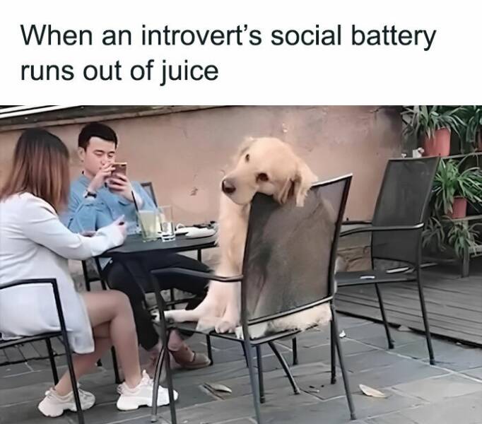 Introverts Dating Adventures: The Most Hilarious Memes