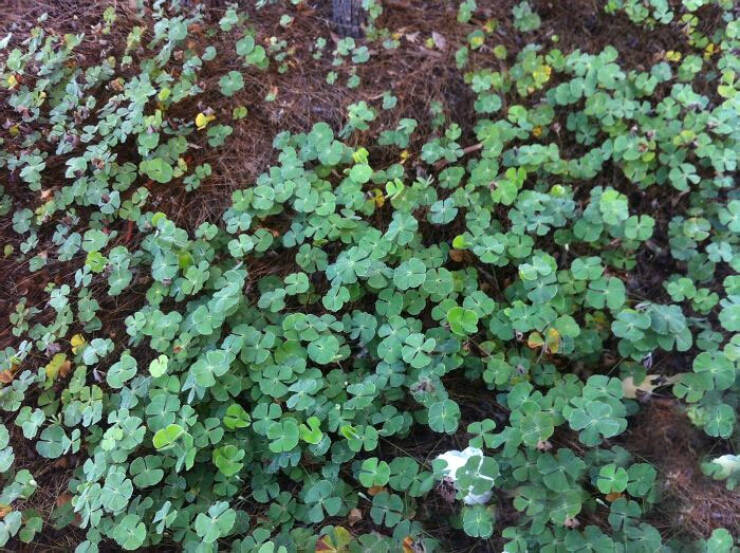 When Luck Smiled: Stories Worth Sharing From Fortunate Individuals