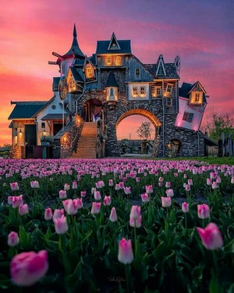 Architectural Quirks: Uniquely Designed Buildings That Missed Comfort Architectural Quirks: Uniquely Designed Buildings That Missed Comfort