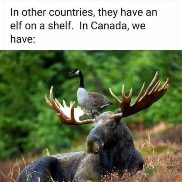 Canada In A Nutshell: Memes And Posts That Nail The Experience