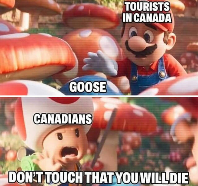 Canada In A Nutshell: Memes And Posts That Nail The Experience