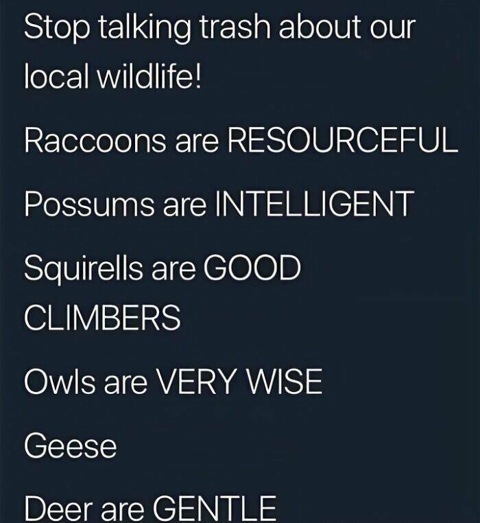 Canada In A Nutshell: Memes And Posts That Nail The Experience