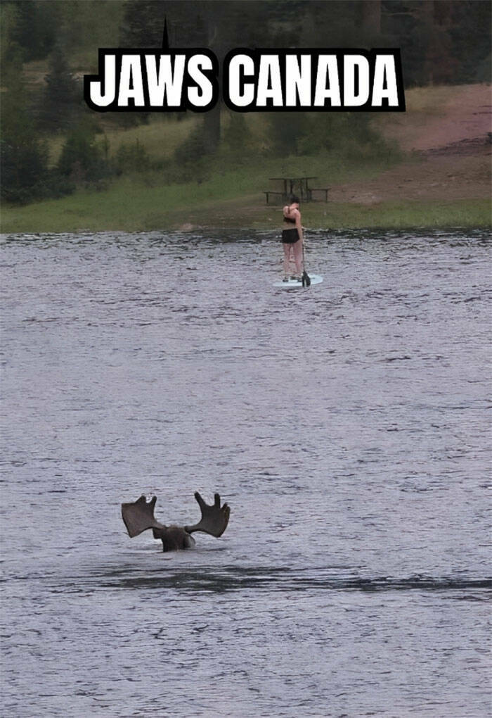 Canada In A Nutshell: Memes And Posts That Nail The Experience