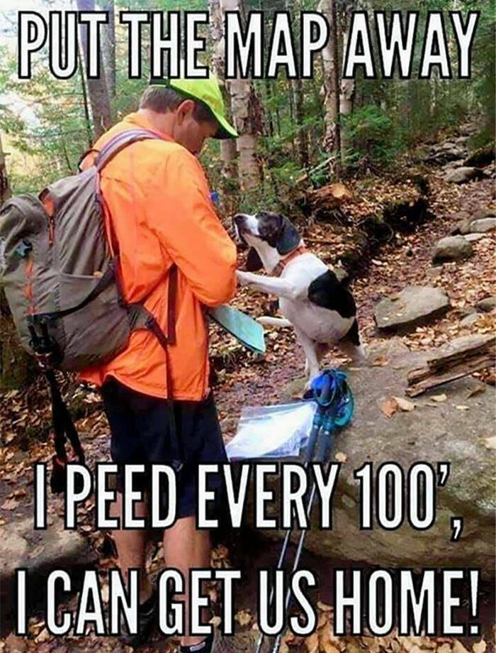 Canada In A Nutshell: Memes And Posts That Nail The Experience