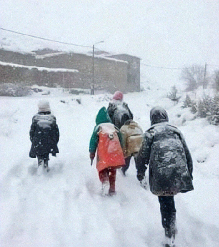 Canada In A Nutshell: Memes And Posts That Nail The Experience