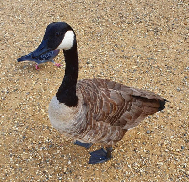 Mind-Bending Images: The Ones That Made Us Do Double-Takes