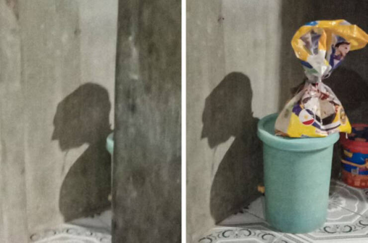 Mind-Bending Images: The Ones That Made Us Do Double-Takes