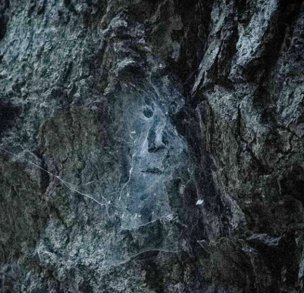 Mind-Bending Images: The Ones That Made Us Do Double-Takes