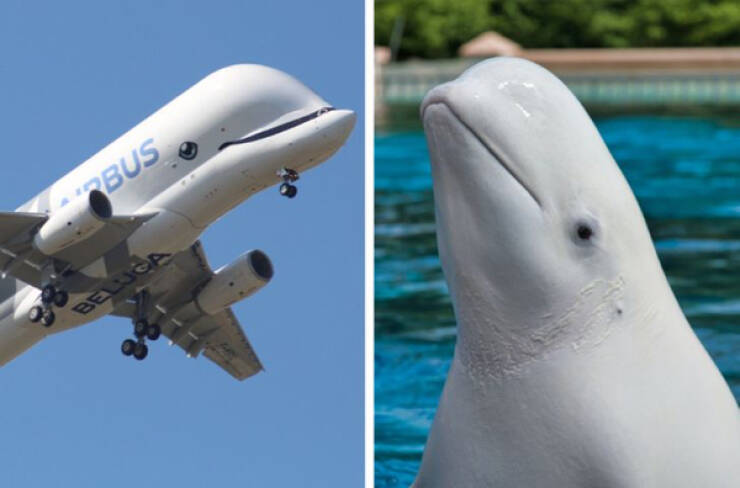 Mind-Bending Images: The Ones That Made Us Do Double-Takes