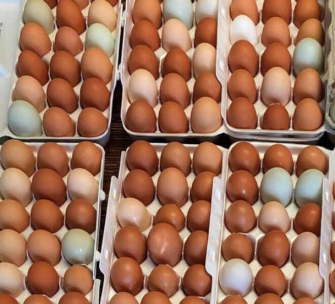 Mind-Bending Images: The Ones That Made Us Do Double-Takes